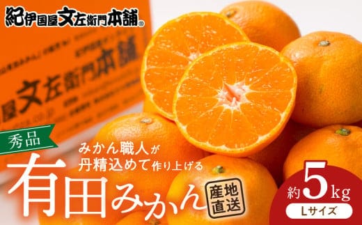 V7435_ブランド有田みかん【Ｌ】秀品5kg 薄皮で甘い美味しい みかん（お届け日指定不可）