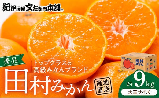 V7472_【2026年先行予約】田村みかん／9kg秀品【大玉サイズ】