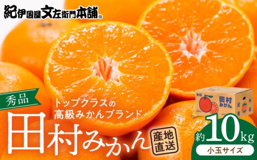 V7446_【2026年先行予約】田村みかん 10kg 小玉サイズ 秀品