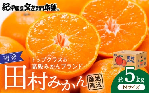 V7448_田村みかん／5kg青秀【Mサイズ】