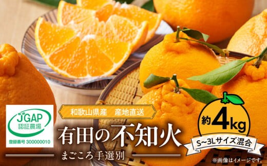 ZE6177n_【2026年先行予約】和歌山県産 有田の 不知火(しらぬひ) 4kg (S～3Lサイズ混合)【まごころ手選別】