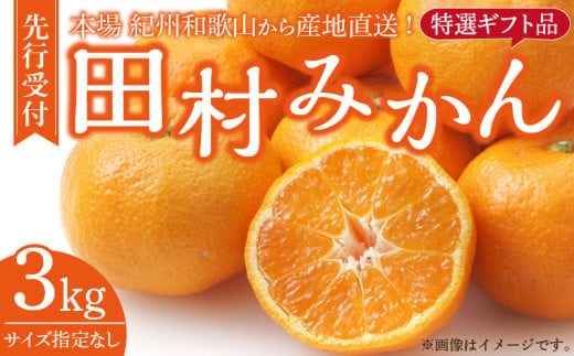 V7454_田村みかん／特選ギフト品3kg【サイズ指定なし】