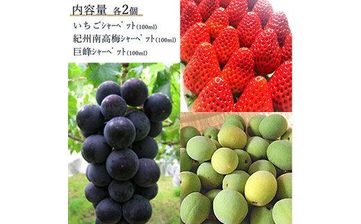 AV6001n_果物たっぷり ジェラート 6個 セット【デザート スイーツ ギフト セット シャーベット】