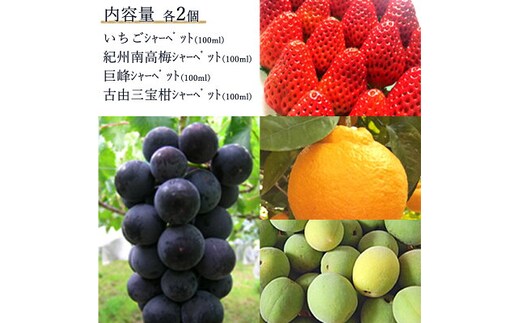AV6002n_果物たっぷり ジェラート 8個 セット【デザート スイーツ ギフト セット シャーベット】