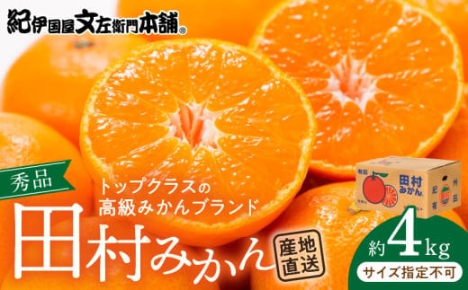 V7453_田村みかん／4kg秀品 【サイズ指定なし】