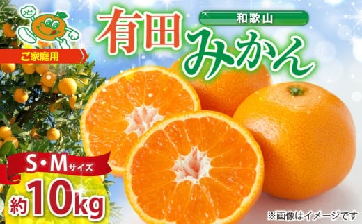 ZJ6077_ご家庭用 和歌山 有田みかん 約10kg (S、Mサイズ)【湯浅町】