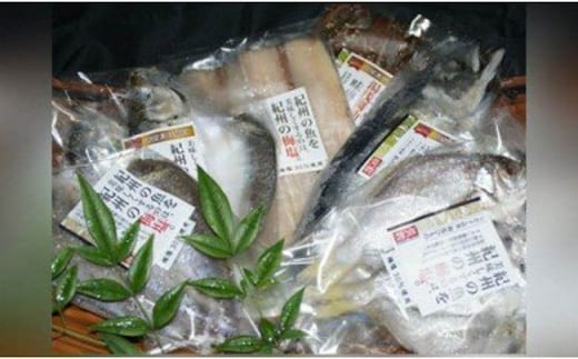 ZD6177n_和歌山の近海でとれた新鮮魚の梅塩干物と湯浅醤油みりん干し6品種10尾入りの詰め合わせ