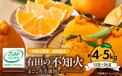 ZE6098n_【2026年先行予約】有田の不知火(しらぬひ) 約4kg～5kg 大玉12～24玉（M～４Lサイズ）まごころ手選別