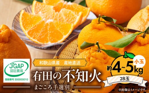 ZE6101n_【2026年先行予約】有田の不知火(しらぬひ）約4kg～5kg 小玉28玉（Sサイズ）まごころ手選別
