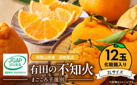 ZE6102n_【2026年先行予約】有田の不知火(しらぬひ) 【化粧箱】 12玉（2Lサイズ）まごころ手選別