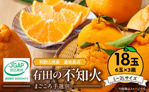 ZE6112n_【2026年先行予約】有田の不知火(しらぬひ) 6玉× 3箱（L～2Lサイズ）まごころ手選別