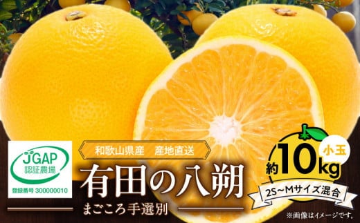 ZE6154n_【2026年先行予約】有田の八朔 (はっさく) 10kg (2S～Mサイズ混合）まごころ手選別