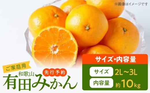 AT6314_ご家庭用 和歌山有田みかん 約10kg (2L、3Lサイズ)【湯浅町】