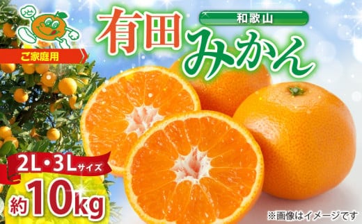 ZJ6079_ご家庭用 和歌山 有田みかん 約10kg (2L、3Lサイズ)【湯浅町】