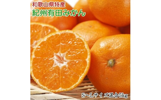 ZD7018_【2026年先行予約】【厳選】和歌山有田みかん 5kg (S～Lサイズ混合・秀品)