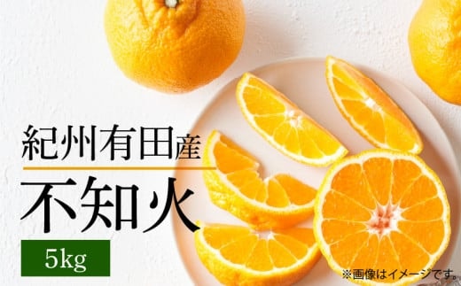 G7356_【2026年先行予約】不知火 5kg デコポン 柑橘の王様 甘い プリプリ ジューシー 濃厚 フルーツ 果実 果物 柑橘 紀州有田産 国産 食品 食べ物 お取り寄せ 魚鶴商店 和歌山県 湯浅町 送料無料