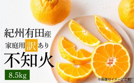 G7359_【2026年先行予約】紀州有田産 不知火 (しらぬい)【家庭用 訳あり】8.5kg