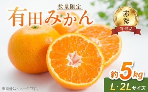 BF6006n_【数量限定】【赤秀 特選品】 有田みかん L,2Lサイズ 約5kg 【ミカン 蜜柑 柑橘 温州みかん 有田みかん 和歌山 贈答 ギフト】