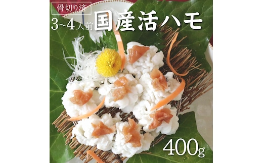 国産 活はも (骨切り済) 400g ( 3人前 ～ 4人前 )【天然 はも ハモ 鱧 鮮魚 皮付き 湯引き はもしゃぶ】_R6009