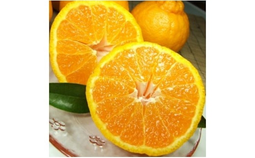 V7076_「デコ」 不知火 約4.5kg 湯浅町田村産 (果実サイズおまかせ) 春みかん 紀伊国屋文左衛門本舗