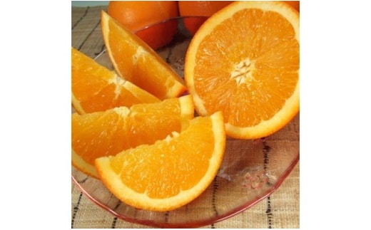 V7401_ネーブル[約4.5kg]和歌山県有田産 春みかん (果実サイズおまかせ) 春柑橘 紀伊国屋文左衛門本舗