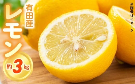 ZN6008n_ 【2026年先行予約】和歌山県 有田産 レモン 3kg【国産 レモン 柑橘 フルーツ 和歌山】