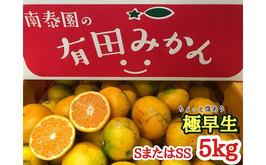 【ちょっと傷あり】極早生・有田みかん 約5kg (SまたはSSサイズ)_ZF6005n