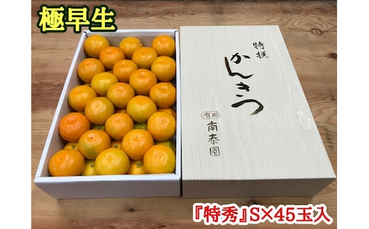 極早生 有田みかん 化粧箱 約3kg『特秀』Sサイズ45玉入_ZF6002n