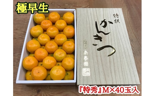 極早生・有田みかん 化粧箱 約3kg『特秀』Mサイズ40玉入_ZF6001n