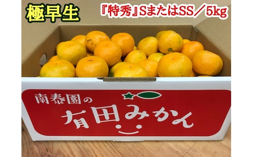 極早生 有田みかん 約5kg 特秀 S.SS_ZF6013n