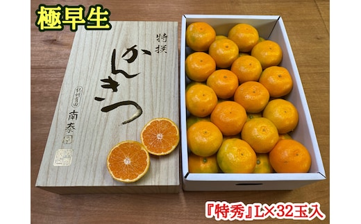 極早生 有田みかん 約4kg 『特秀』Lサイズ32玉入_ZF6000n