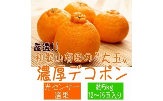 AB7207_【2026年先行予約】和歌山有田の濃厚 大玉 デコポン 5kg