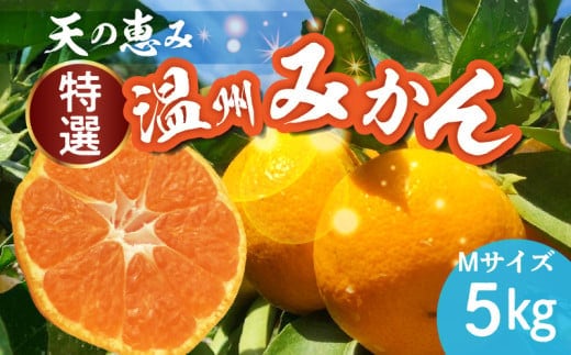 H6005_天の恵み 温州みかん Mサイズ 特選 5kg【ミカン 蜜柑 柑橘 温州みかん 和歌山】