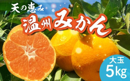 H6004n_天の恵み 温州みかん 大玉5kg【ミカン 蜜柑 柑橘 温州みかん 和歌山】