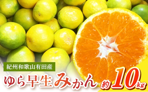 G7098_ 紀州和歌山有田産 ゆら早生みかん 10kg【ミカン 蜜柑 柑橘 温州みかん わせみかん】