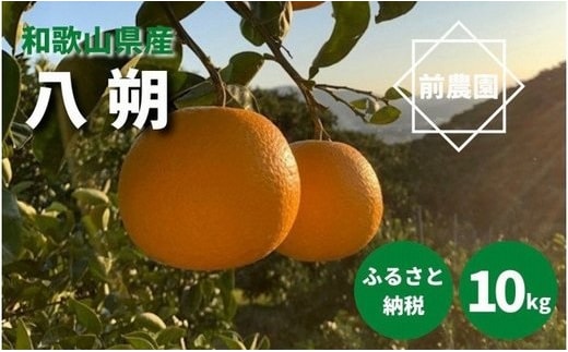 BL6010n_【2026年先行予約】【産地直送】和歌山県産 八朔 10kg (M～3Lサイズ)
