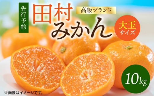 G7052_【2026年11月下旬より発送】高級ブランド 田村みかん 10kg 大玉サイズ