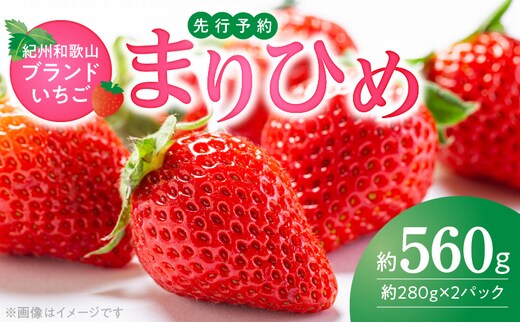 G7348_【2027年先行予約】 紀州和歌山ブランドいちご まりひめ 約280g×2P
