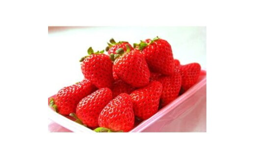 G7346_紀州和歌山ブランド いちご まりひめ 250g×4P