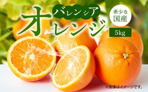 G7079_ 希少 国産 秀品 バレンシアオレンジ 5kg 果汁 豊富 糖度 高い 甘い 爽快感 香り 酸味 味わい スッキリ 栄養補給 柑橘 オレンジ 果物 フルーツ 果実 食品 食べ物 おやつ デザート お取り寄せ お取り寄せフルーツ 和歌山県 湯浅町 送料無料