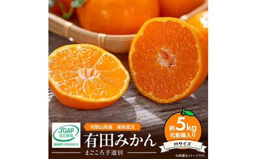 ZE6322n_和歌山の有田みかん 化粧箱入り 約5kg Mサイズ 【まごころ手選別】