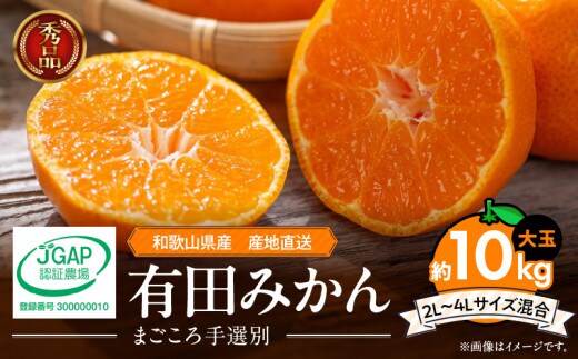 ZE6333n_和歌山有田みかん10kg 2L～4Lサイズ混合 