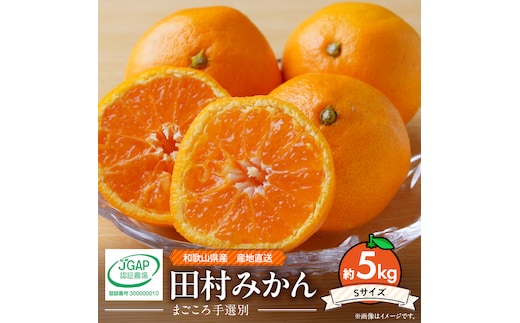 ZE6485_【2026年先行予約】和歌山 湯浅町産 田村みかん 約5kg【Sサイズ】