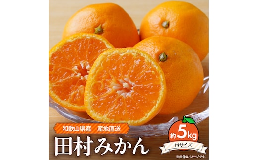 ZE6342n_和歌山 湯浅町産 田村みかん 5kg【Mサイズ】