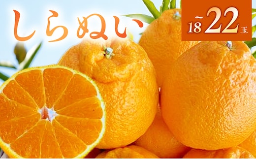 BF6064_（2026年先行受付）しらぬい（デコポン）18～22玉入り ※着日指定不可