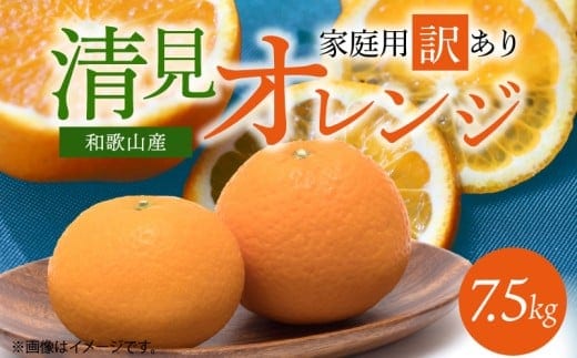 G7067_【2026年先行予約】紀州有田産 清見 オレンジ 7.5kg【家庭用 訳あり】