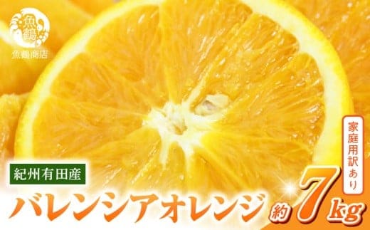 G7080_希少な 国産 バレンシアオレンジ 7kg 【家庭用 訳あり】【国産オレンジ オレンジ 柑橘 フルーツ 和歌山 有田】