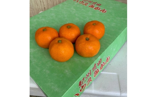 BF6032n_【2026年先行予約】ハウスみかん 化粧箱 約2.5kg 【ミカン 蜜柑 柑橘 温州みかん 有田みかん 贈答 ギフト 和歌山】