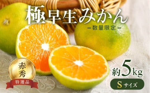 BF6036n_【2026年先行予約】 極早生みかん 5kg 赤秀 Sサイズ【ミカン 蜜柑 柑橘 温州みかん 有田みかん 贈答 ギフト わせみかん 和歌山】