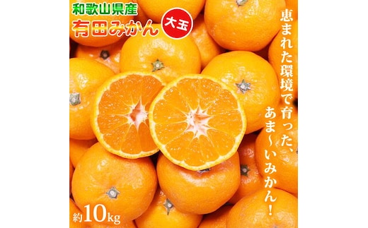 ZN6004n_ （大玉） 和歌山県産 有田みかん 10kg ひとつひとつ手選別で厳選！生産者から直送